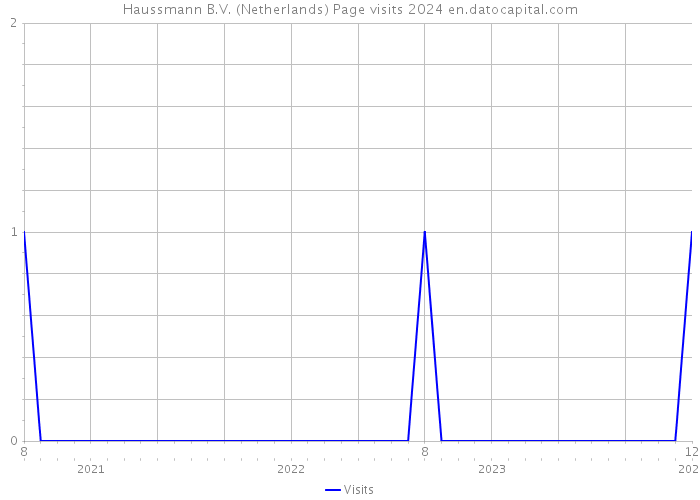 Haussmann B.V. (Netherlands) Page visits 2024 