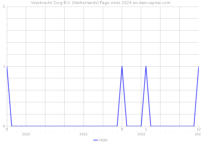 Veerkracht Zorg B.V. (Netherlands) Page visits 2024 