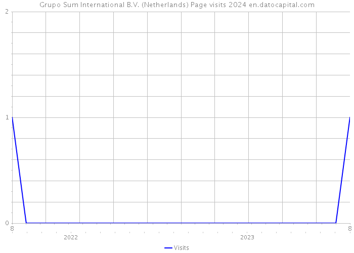Grupo Sum International B.V. (Netherlands) Page visits 2024 