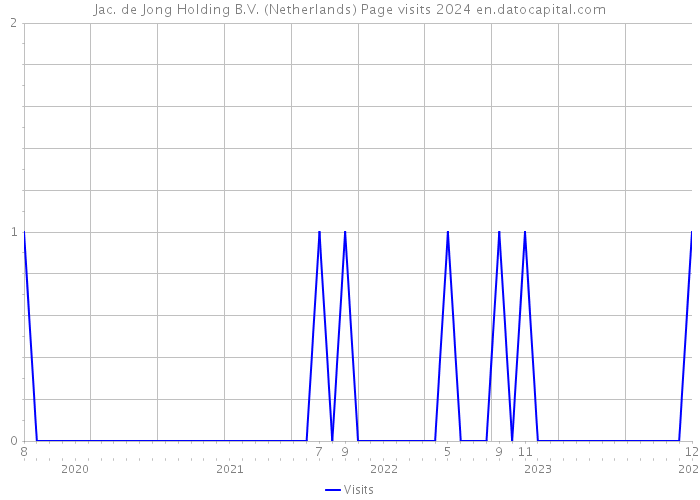 Jac. de Jong Holding B.V. (Netherlands) Page visits 2024 