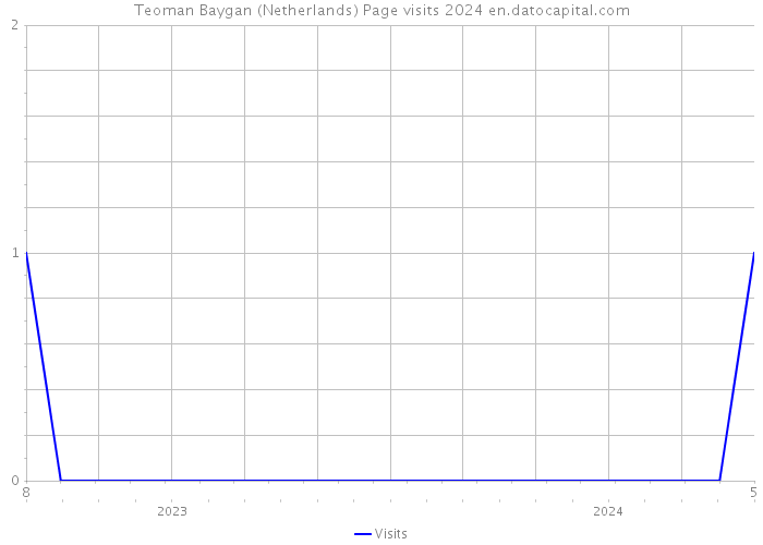 Teoman Baygan (Netherlands) Page visits 2024 
