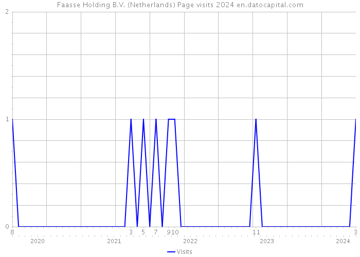Faasse Holding B.V. (Netherlands) Page visits 2024 