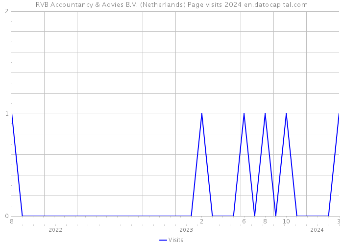 RVB Accountancy & Advies B.V. (Netherlands) Page visits 2024 