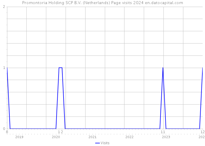 Promontoria Holding SCP B.V. (Netherlands) Page visits 2024 