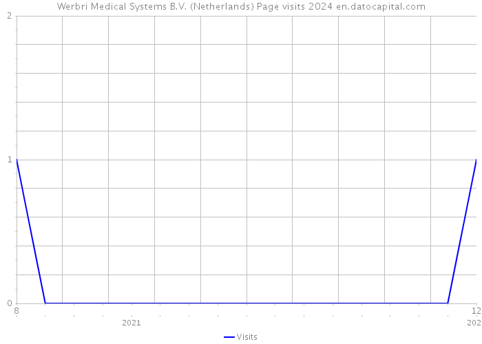Werbri Medical Systems B.V. (Netherlands) Page visits 2024 