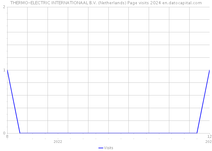 THERMO-ELECTRIC INTERNATIONAAL B.V. (Netherlands) Page visits 2024 