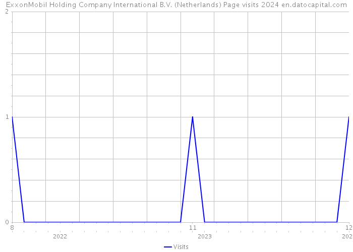 ExxonMobil Holding Company International B.V. (Netherlands) Page visits 2024 