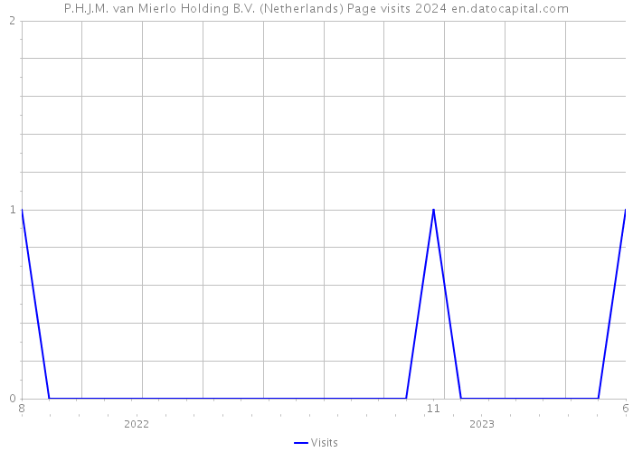 P.H.J.M. van Mierlo Holding B.V. (Netherlands) Page visits 2024 