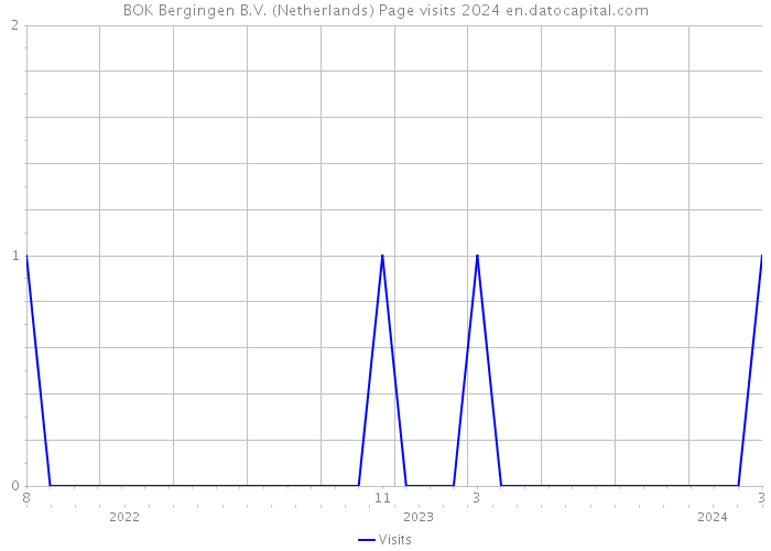 BOK Bergingen B.V. (Netherlands) Page visits 2024 