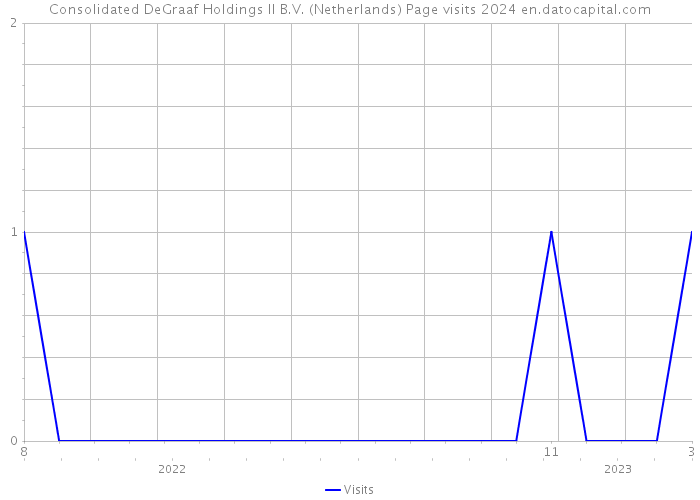 Consolidated DeGraaf Holdings II B.V. (Netherlands) Page visits 2024 