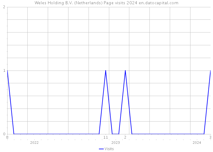 Weles Holding B.V. (Netherlands) Page visits 2024 
