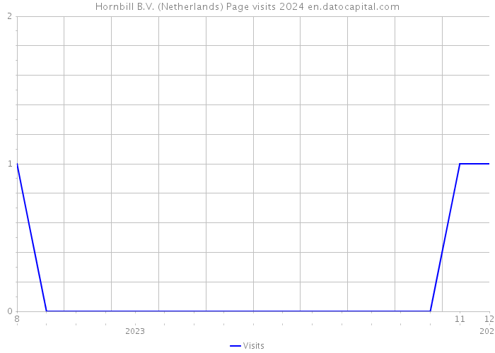 Hornbill B.V. (Netherlands) Page visits 2024 
