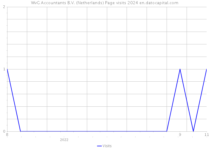 WvG Accountants B.V. (Netherlands) Page visits 2024 