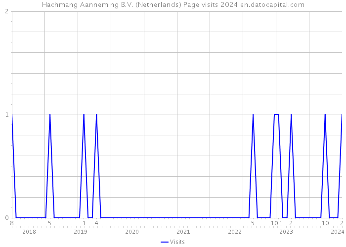 Hachmang Aanneming B.V. (Netherlands) Page visits 2024 