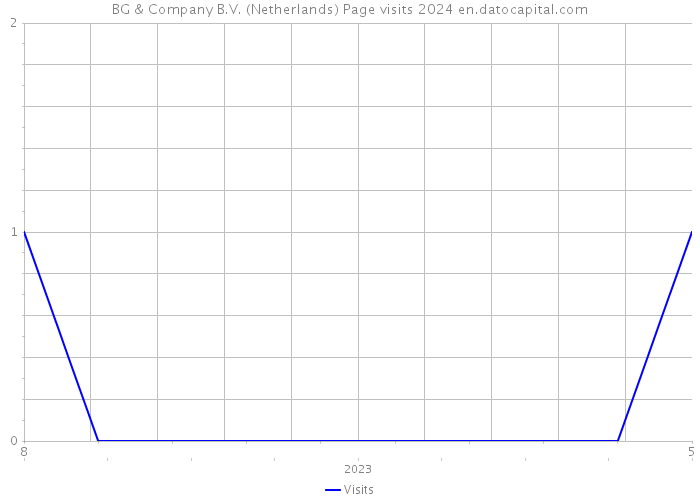 BG & Company B.V. (Netherlands) Page visits 2024 