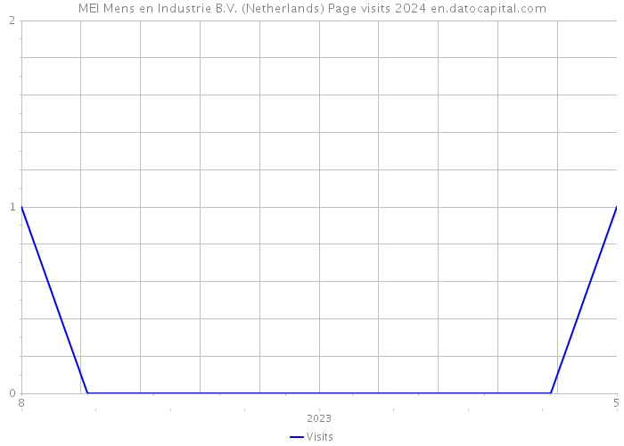 MEI Mens en Industrie B.V. (Netherlands) Page visits 2024 