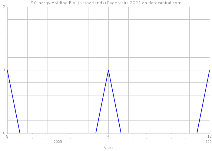 SY-nergy Holding B.V. (Netherlands) Page visits 2024 