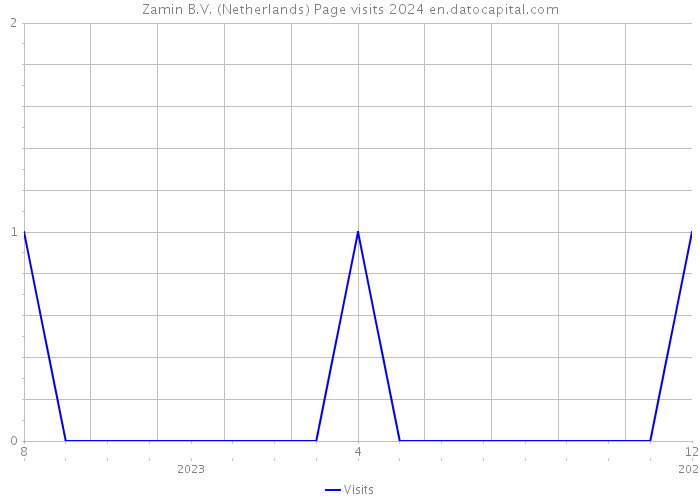 Zamin B.V. (Netherlands) Page visits 2024 
