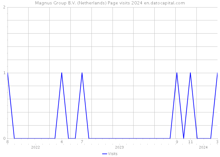 Magnus Group B.V. (Netherlands) Page visits 2024 