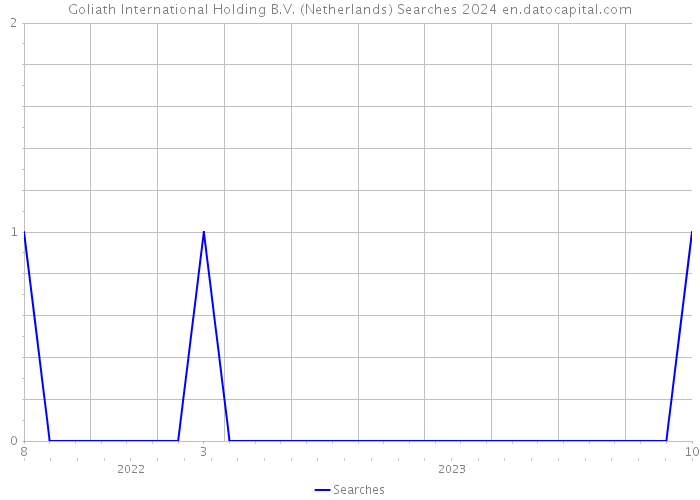 Goliath International Holding B.V. (Netherlands) Searches 2024 