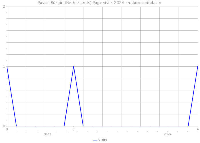 Pascal Bürgin (Netherlands) Page visits 2024 