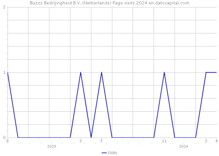 Buzzz Bedrijvigheid B.V. (Netherlands) Page visits 2024 