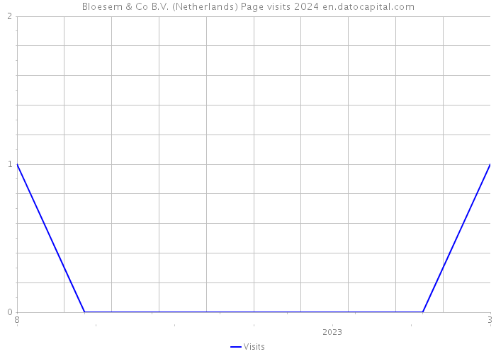 Bloesem & Co B.V. (Netherlands) Page visits 2024 