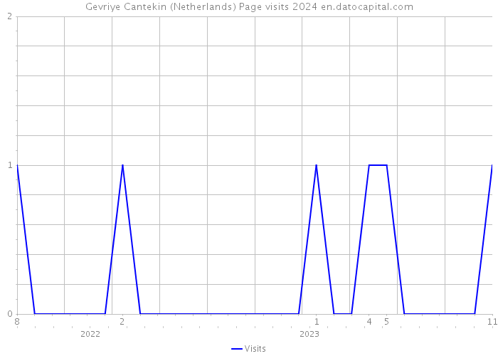 Gevriye Cantekin (Netherlands) Page visits 2024 