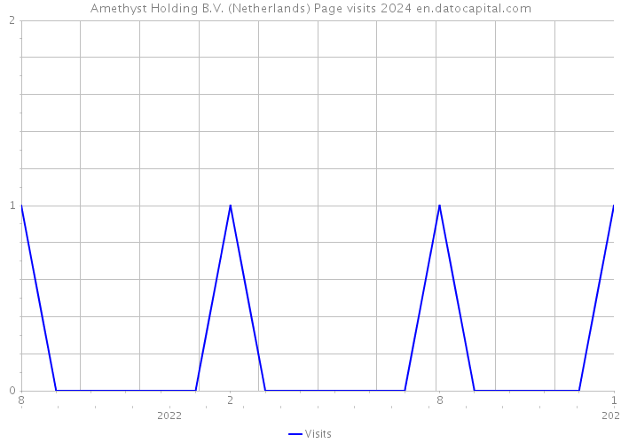 Amethyst Holding B.V. (Netherlands) Page visits 2024 