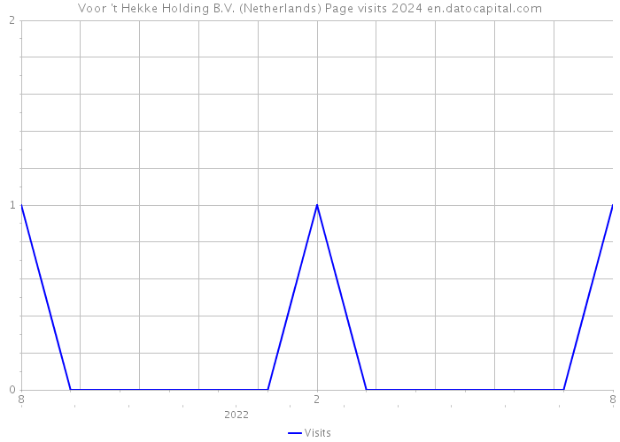 Voor 't Hekke Holding B.V. (Netherlands) Page visits 2024 