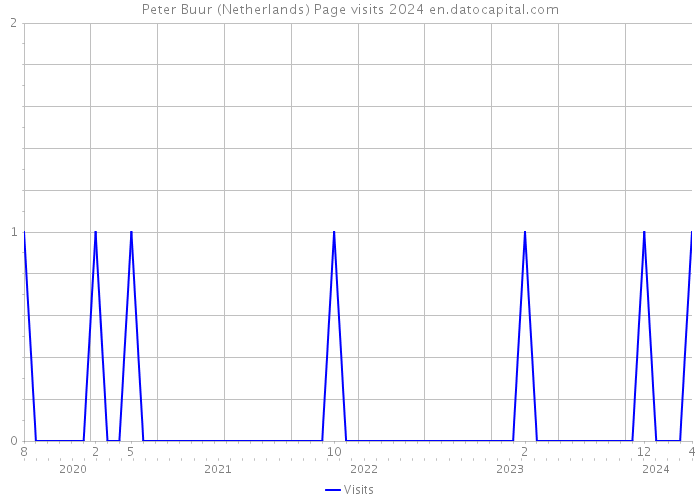 Peter Buur (Netherlands) Page visits 2024 