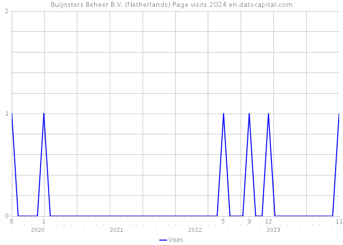 Buijnsters Beheer B.V. (Netherlands) Page visits 2024 