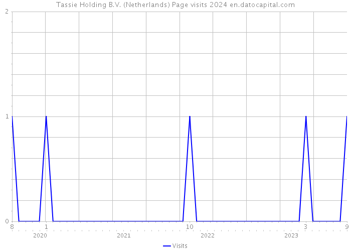 Tassie Holding B.V. (Netherlands) Page visits 2024 