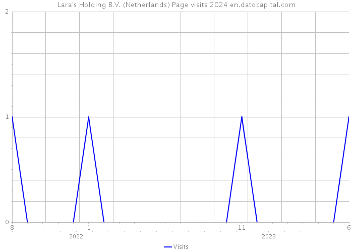 Lara's Holding B.V. (Netherlands) Page visits 2024 