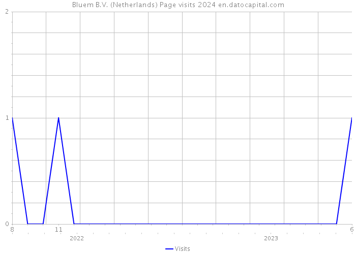 Bluem B.V. (Netherlands) Page visits 2024 