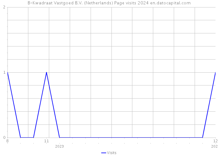 B-Kwadraat Vastgoed B.V. (Netherlands) Page visits 2024 