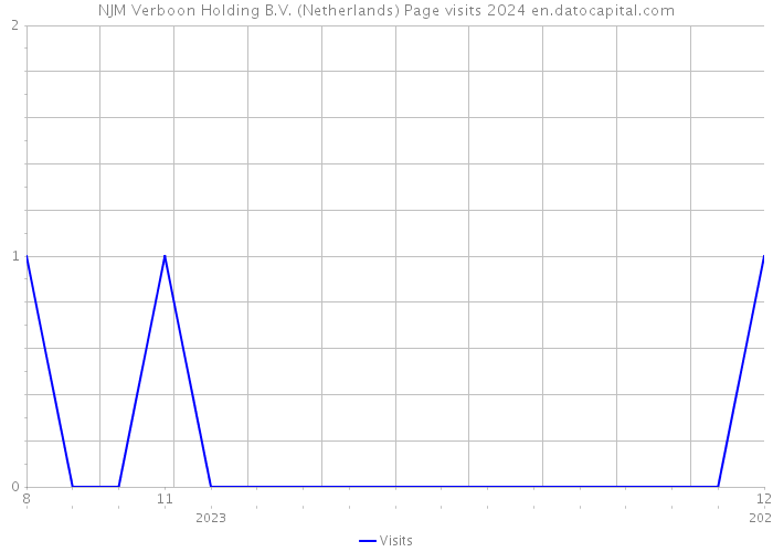 NJM Verboon Holding B.V. (Netherlands) Page visits 2024 