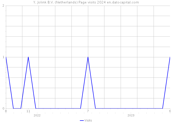 Y. Jolink B.V. (Netherlands) Page visits 2024 