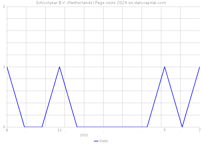 Schoolyear B.V. (Netherlands) Page visits 2024 