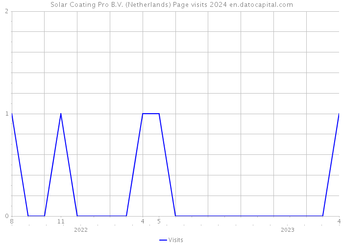 Solar Coating Pro B.V. (Netherlands) Page visits 2024 