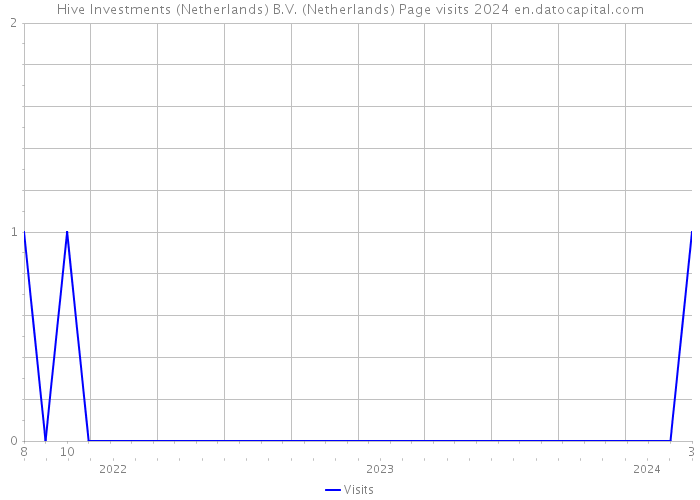 Hive Investments (Netherlands) B.V. (Netherlands) Page visits 2024 