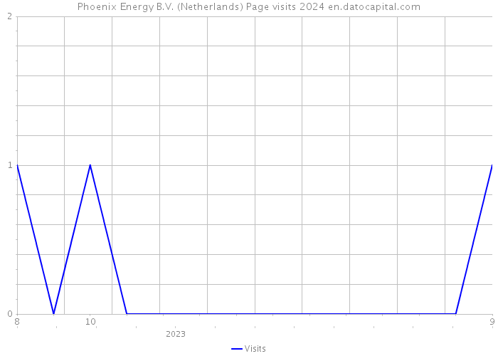 Phoenix Energy B.V. (Netherlands) Page visits 2024 