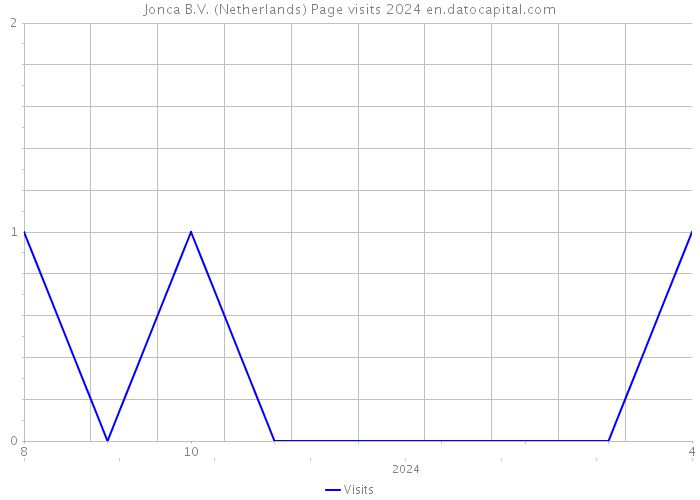 Jonca B.V. (Netherlands) Page visits 2024 