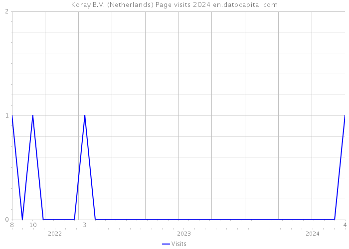 Koray B.V. (Netherlands) Page visits 2024 