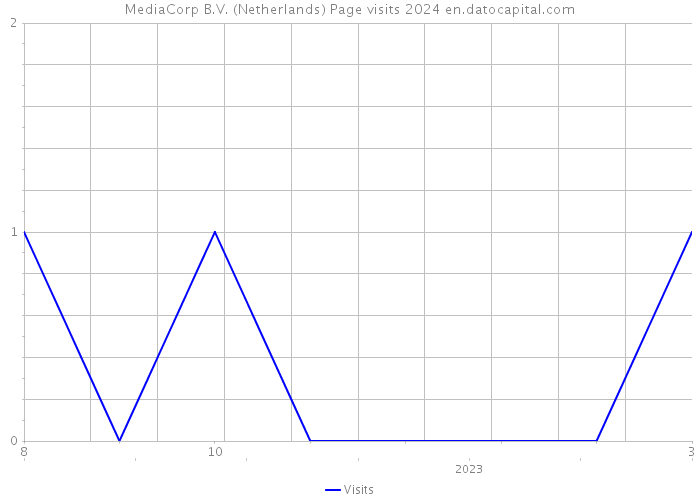MediaCorp B.V. (Netherlands) Page visits 2024 
