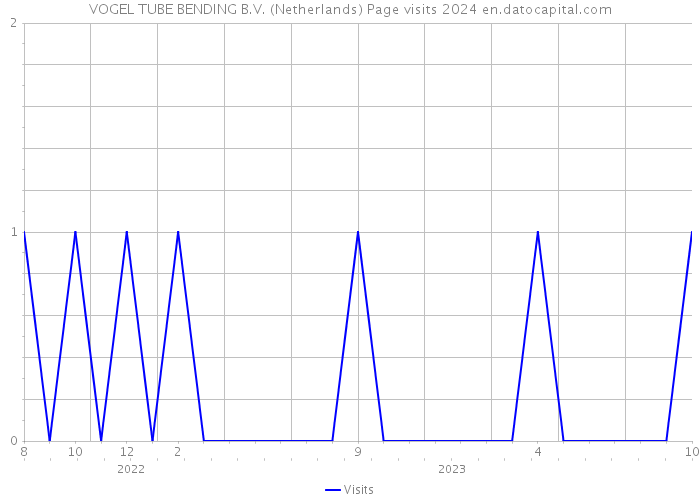 VOGEL TUBE BENDING B.V. (Netherlands) Page visits 2024 