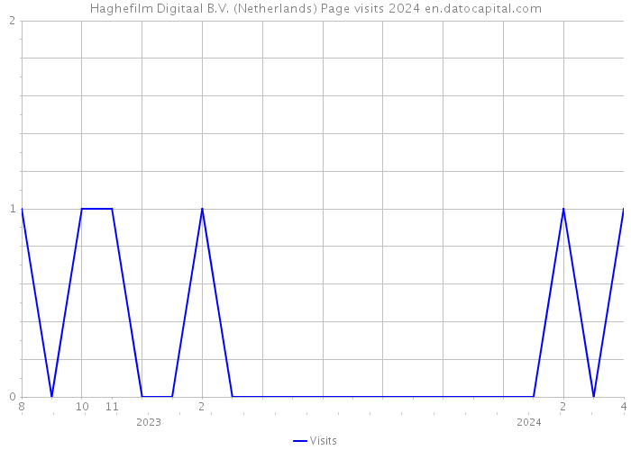 Haghefilm Digitaal B.V. (Netherlands) Page visits 2024 