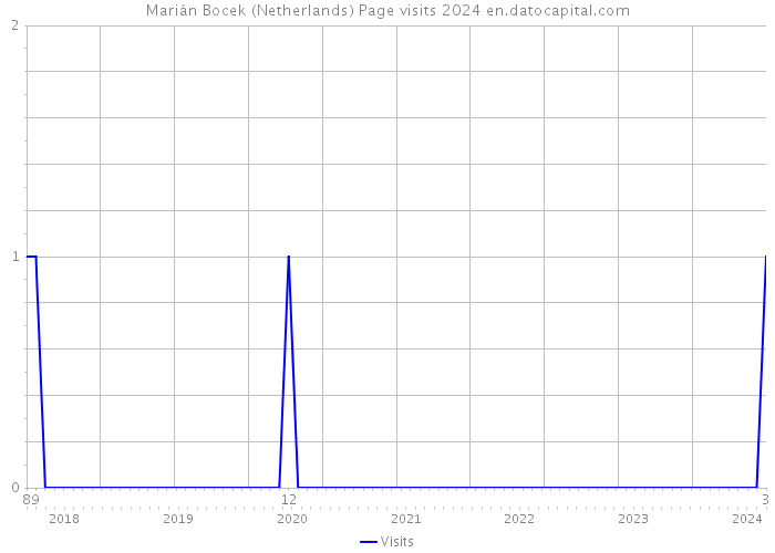 Marián Bocek (Netherlands) Page visits 2024 