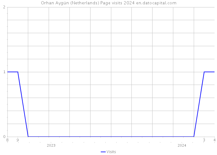 Orhan Aygün (Netherlands) Page visits 2024 