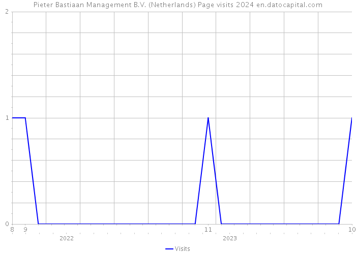Pieter Bastiaan Management B.V. (Netherlands) Page visits 2024 